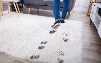 How To Get Mud Out Of Your Carpet