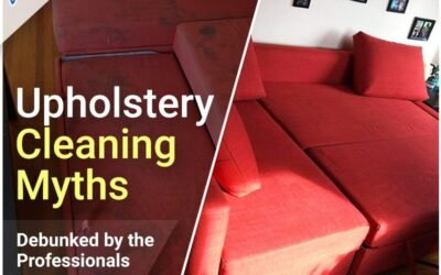 Major Upholstery Cleaning Myths Debunked by the Professionals