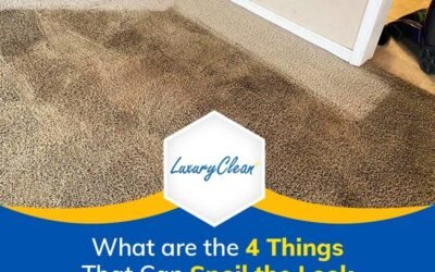What Are the 4 Things that Can Spoil the Look of Your Carpet