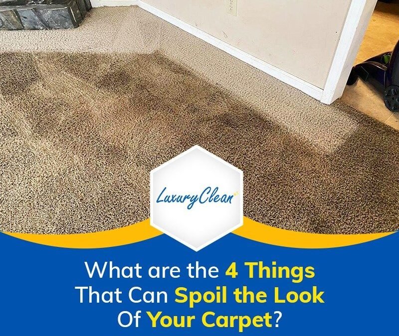 What Are the 4 Things that Can Spoil the Look of Your Carpet