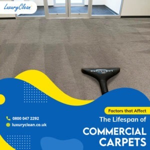 A List of Factors that Affect Lifespan of Commercial Carpets