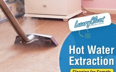 Why is the Hot Water Extraction Best for Carpet Cleaning