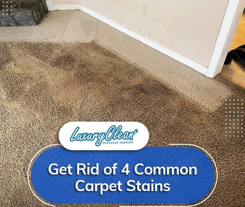 Get Rid of 4 Common Carpet Stains