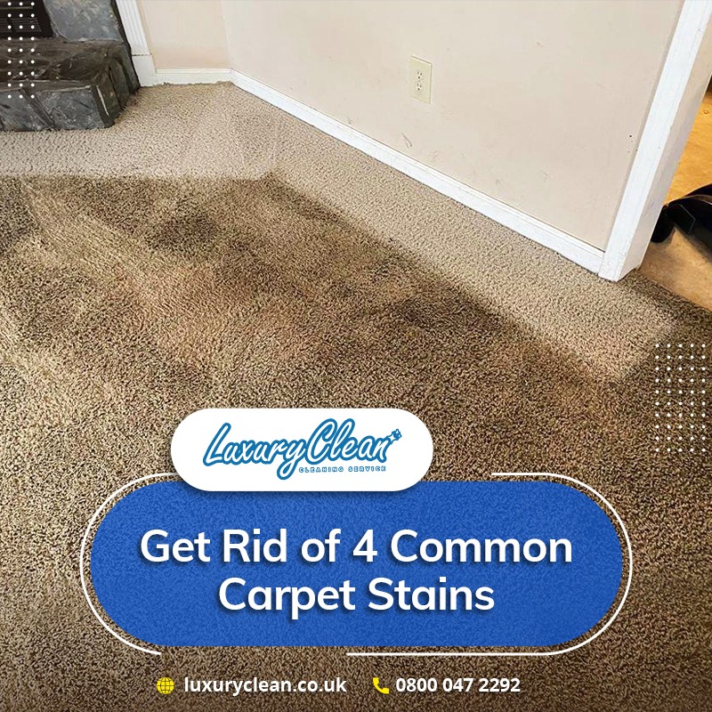 4 Common Types of Carpet Stains and How to Remove Them