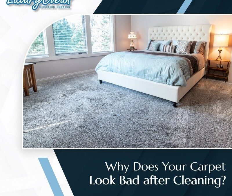 Does Your Carpet Look Worse after Cleaning? Here’s Why…