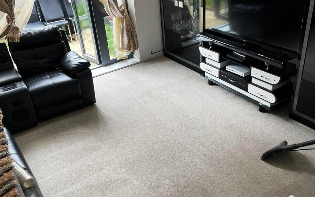 5 Essential Tips for Carpet Care and Maintenance