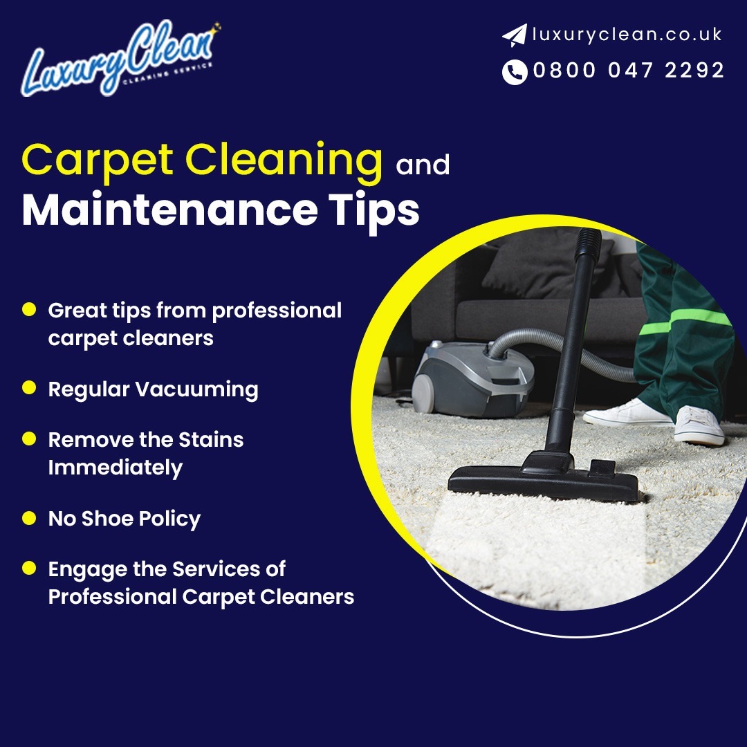 Carpet Cleaning and Maintenance Tips