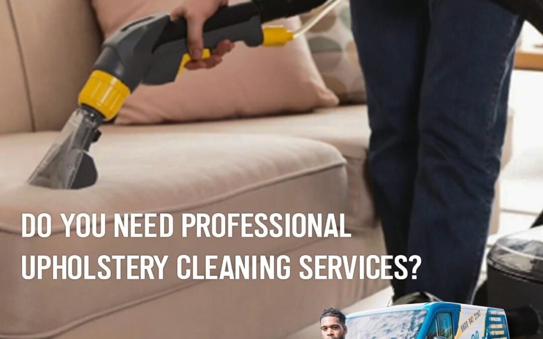 Do you need Professional Upholstery Cleaning Services?