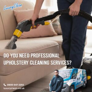 Do you need Professional Upholstery Cleaning Services?
