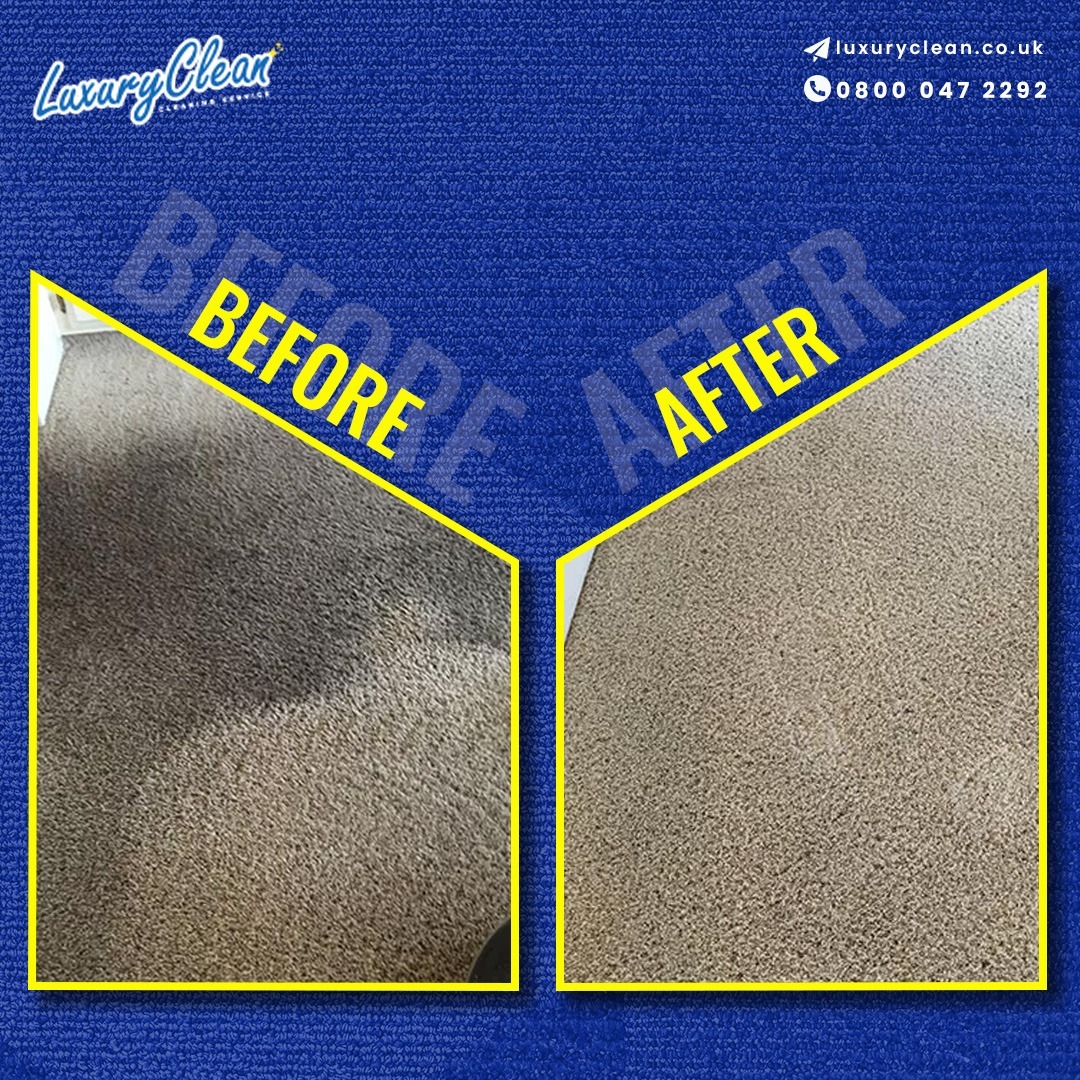 Professional Carpet Cleaning after Water Damage