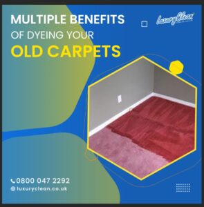 Many people are uncomfortable entertaining visitors because of their soiled or bleached carpets
