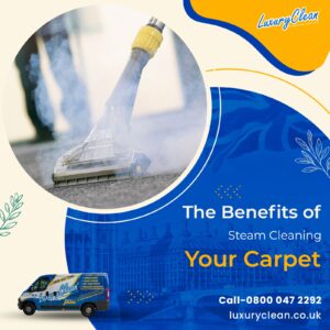 The Benefits of Steam Cleaning Your Carpet