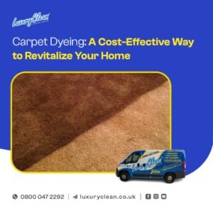 Carpet Restoration 