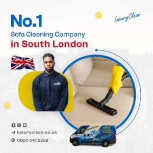  sofa cleaner 