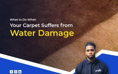 What to Do When Your Carpet Suffers from Water Damage